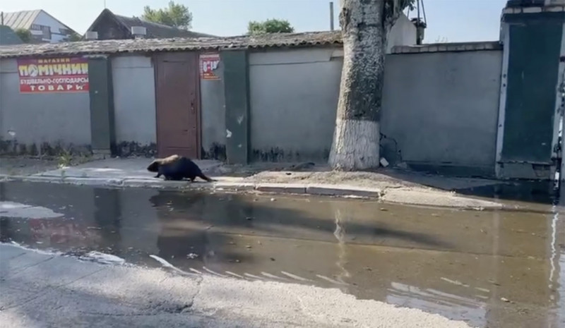 Photo of video | 16.000 de oameni ar putea fi afectați de inundații după distrugerea barajului Kahovka. Administrația prezidențială: Este și un ecocid